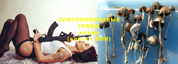 СК Алексеевка