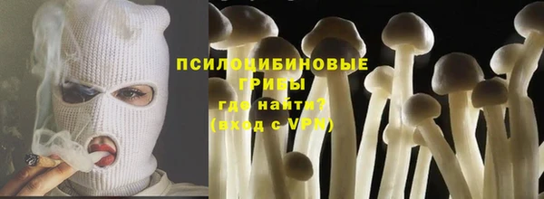 СК Алексеевка